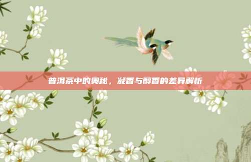 普洱茶中的奥秘，凝香与醇香的差异解析