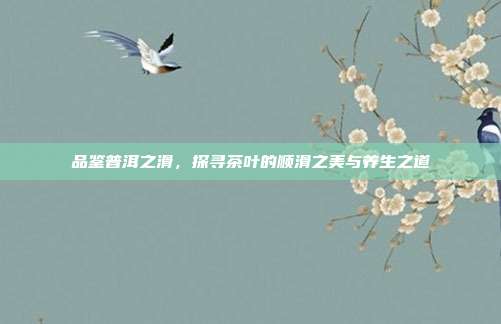 品鉴普洱之滑，探寻茶叶的顺滑之美与养生之道