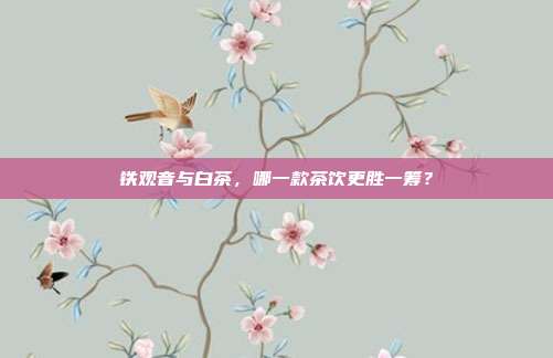 铁观音与白茶，哪一款茶饮更胜一筹？
