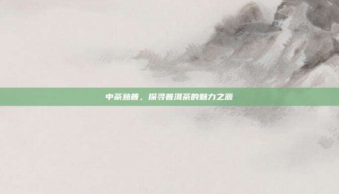 中茶熟普，探寻普洱茶的魅力之源