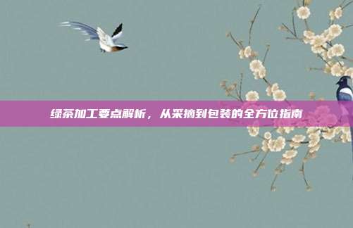 绿茶加工要点解析，从采摘到包装的全方位指南