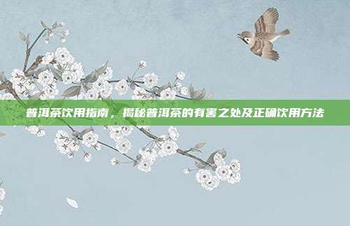 普洱茶饮用指南，揭秘普洱茶的有害之处及正确饮用方法
