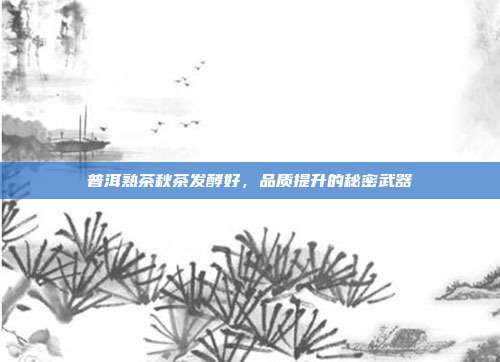 普洱熟茶秋茶发酵好，品质提升的秘密武器