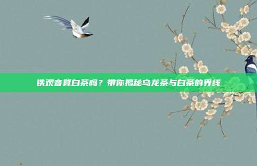 铁观音算白茶吗？带你揭秘乌龙茶与白茶的界线