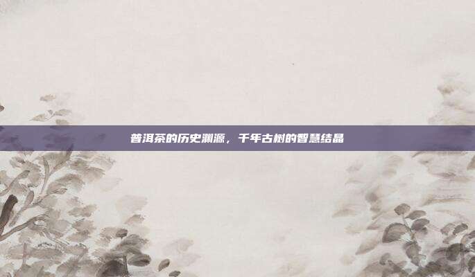 普洱茶的历史渊源，千年古树的智慧结晶