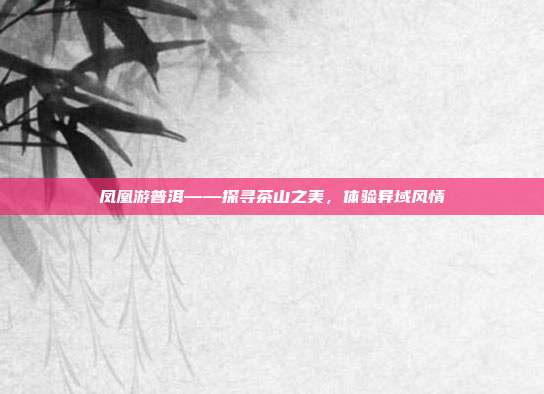 凤凰游普洱——探寻茶山之美，体验异域风情