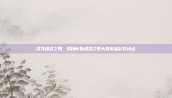 探寻绿茶之源，揭秘制造绿茶的五大茶树品种及特点