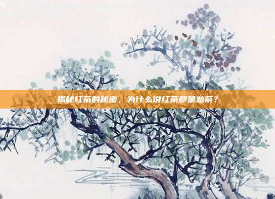 揭秘红茶的秘密，为什么说红茶都是熟茶？