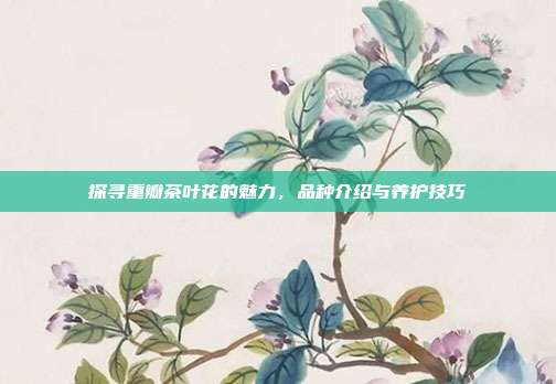 探寻重瓣茶叶花的魅力，品种介绍与养护技巧