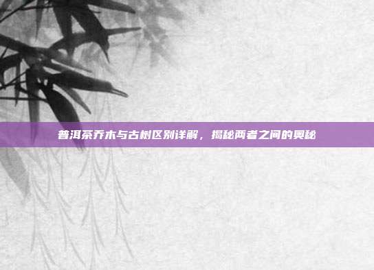 普洱茶乔木与古树区别详解，揭秘两者之间的奥秘