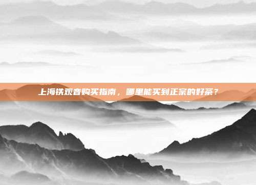 上海铁观音购买指南，哪里能买到正宗的好茶？