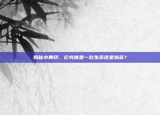 揭秘小黄印，它究竟是一款生茶还是熟茶？