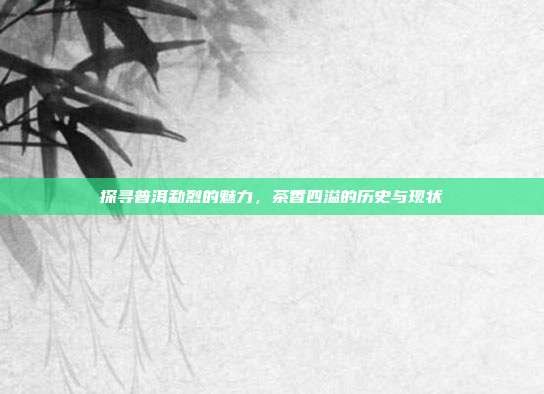 探寻普洱勐烈的魅力，茶香四溢的历史与现状