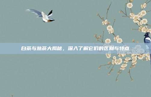 白茶与熟茶大揭秘，深入了解它们的区别与特点