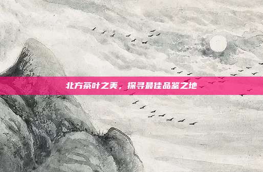 北方茶叶之美，探寻最佳品鉴之地