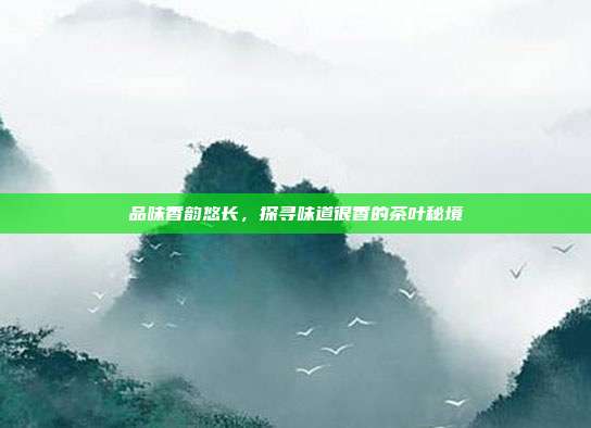 品味香韵悠长，探寻味道很香的茶叶秘境