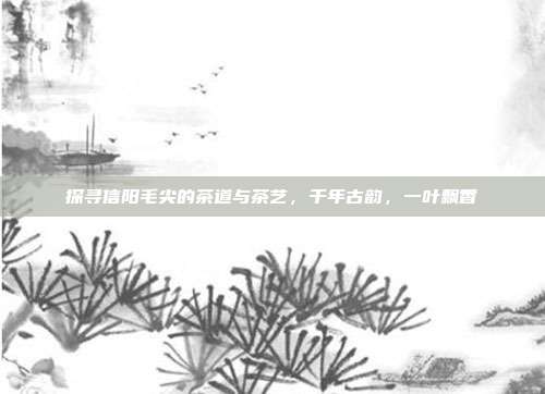 探寻信阳毛尖的茶道与茶艺，千年古韵，一叶飘香