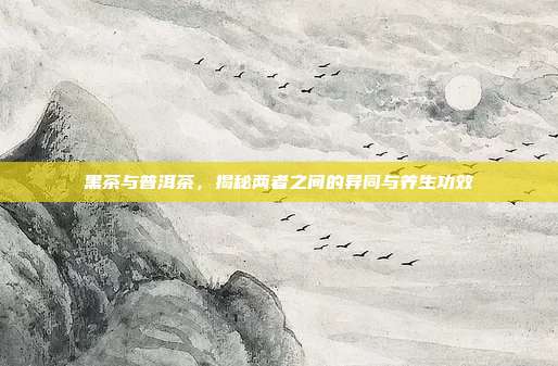 黑茶与普洱茶，揭秘两者之间的异同与养生功效