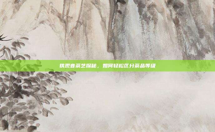 铁观音茶艺探秘，如何轻松区分茶品等级