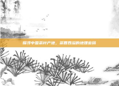 探寻中国茶叶产地，茶香四溢的地理密码