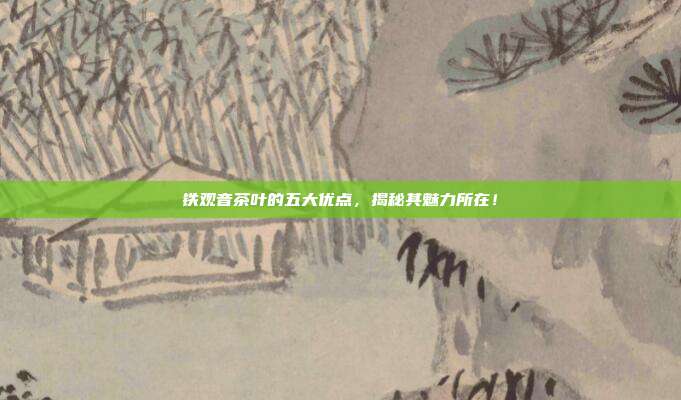 铁观音茶叶的五大优点，揭秘其魅力所在！