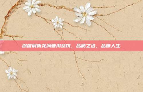 深度解析龙润普洱茶饼，品质之选，品味人生