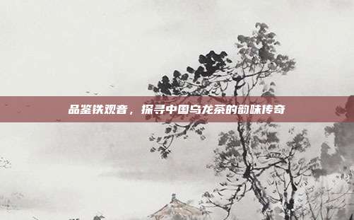 品鉴铁观音，探寻中国乌龙茶的韵味传奇