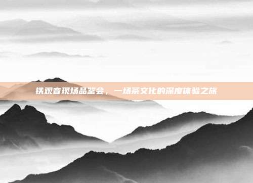 铁观音现场品鉴会，一场茶文化的深度体验之旅