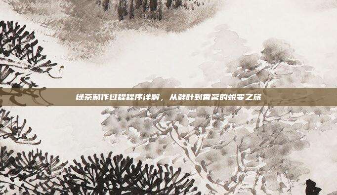 绿茶制作过程程序详解，从鲜叶到香茗的蜕变之旅