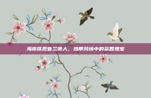 海南铁观音兰贵人，热带风情中的茶香瑰宝