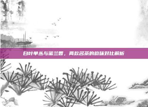 白叶单丛与蜜兰香，两款名茶的韵味对比解析