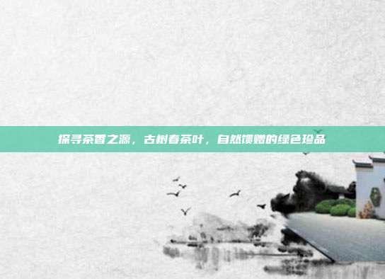 探寻茶香之源，古树春茶叶，自然馈赠的绿色珍品