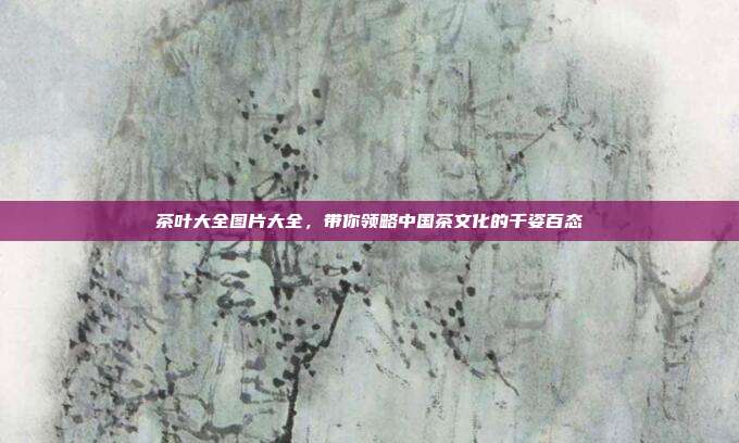 茶叶大全图片大全，带你领略中国茶文化的千姿百态