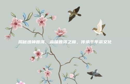 揭秘逸神普洱，品味普洱之巅，传承千年茶文化