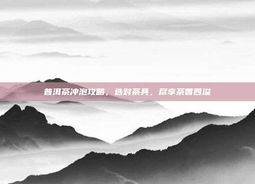 普洱茶冲泡攻略，选对茶具，尽享茶香四溢