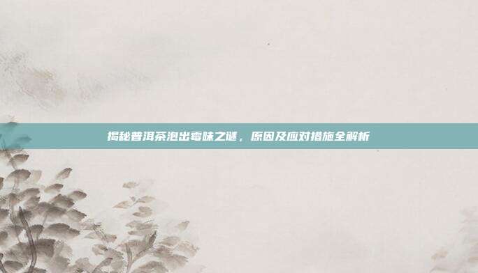 揭秘普洱茶泡出霉味之谜，原因及应对措施全解析