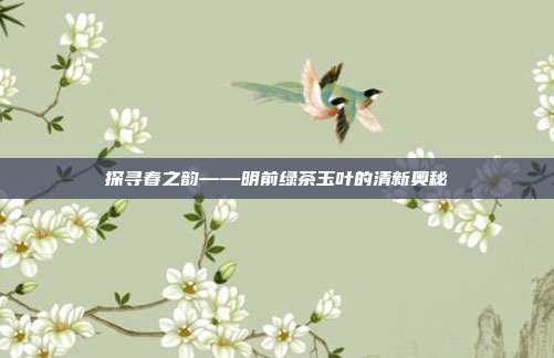 探寻春之韵——明前绿茶玉叶的清新奥秘