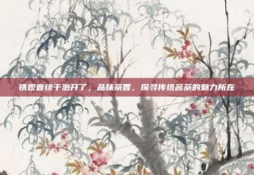 铁观音终于泡开了，品味茶香，探寻传统茗茶的魅力所在