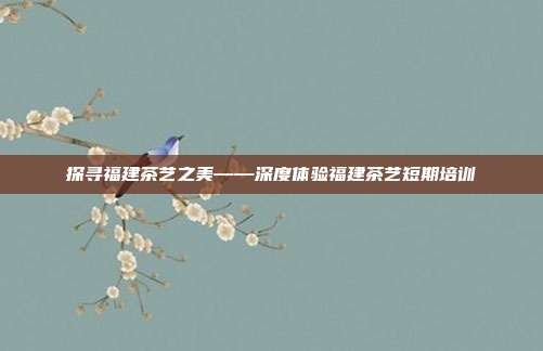 探寻福建茶艺之美——深度体验福建茶艺短期培训
