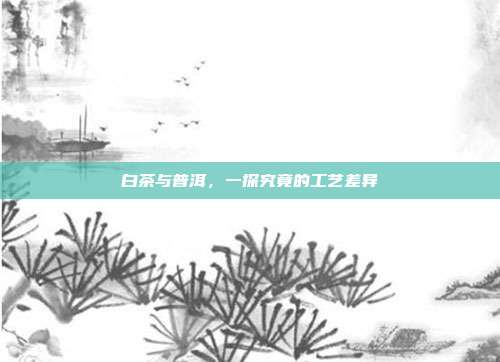 白茶与普洱，一探究竟的工艺差异