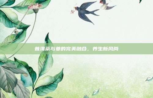 普洱茶与姜的完美融合，养生新风尚