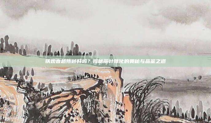 铁观音越陈越好吗？揭秘茶叶陈化的奥秘与品鉴之道