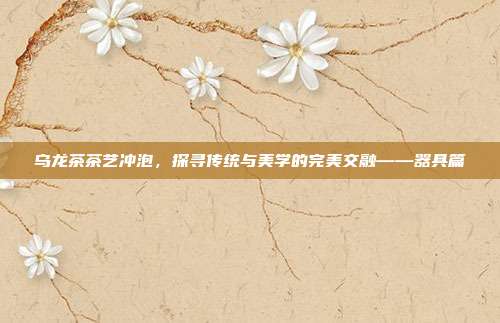 乌龙茶茶艺冲泡，探寻传统与美学的完美交融——器具篇