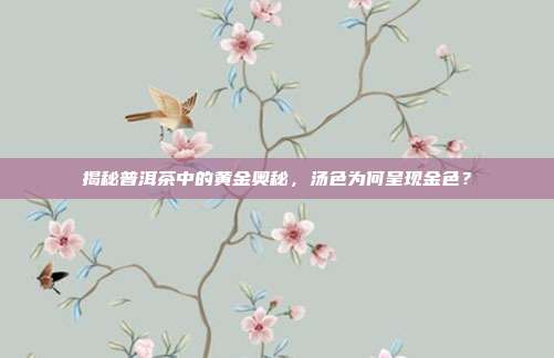 揭秘普洱茶中的黄金奥秘，汤色为何呈现金色？