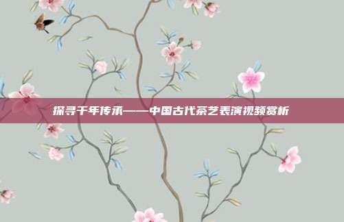 探寻千年传承——中国古代茶艺表演视频赏析
