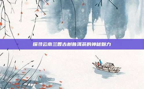 探寻云南兰香古树普洱茶的神秘魅力