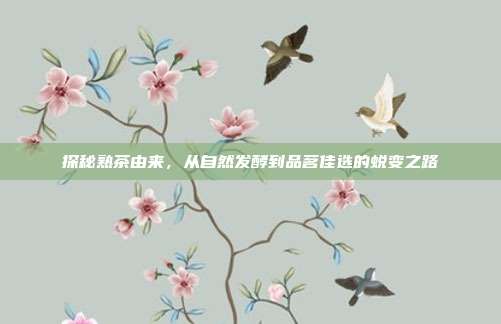 探秘熟茶由来，从自然发酵到品茗佳选的蜕变之路