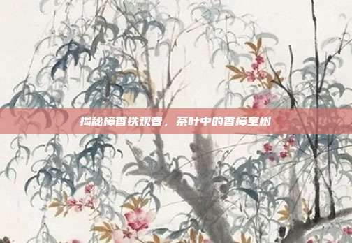 揭秘樟香铁观音，茶叶中的香樟宝树