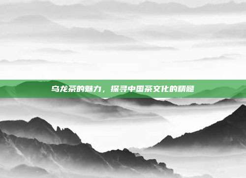 乌龙茶的魅力，探寻中国茶文化的精髓