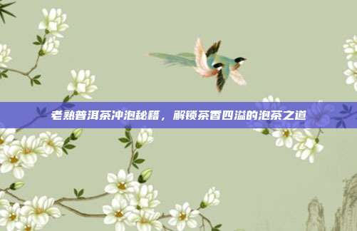 老熟普洱茶冲泡秘籍，解锁茶香四溢的泡茶之道